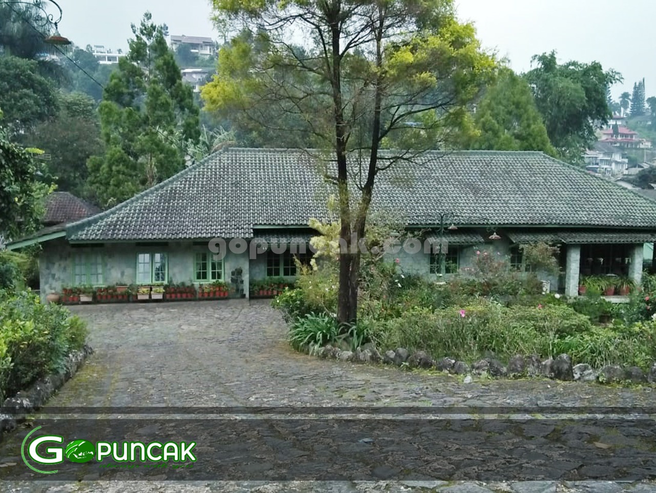 Sewa Villa VILLA PUNCAK - Villa Anthurium